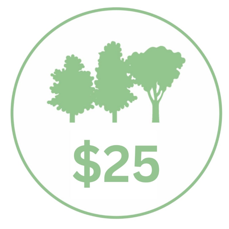 Product Description: $25 Donation