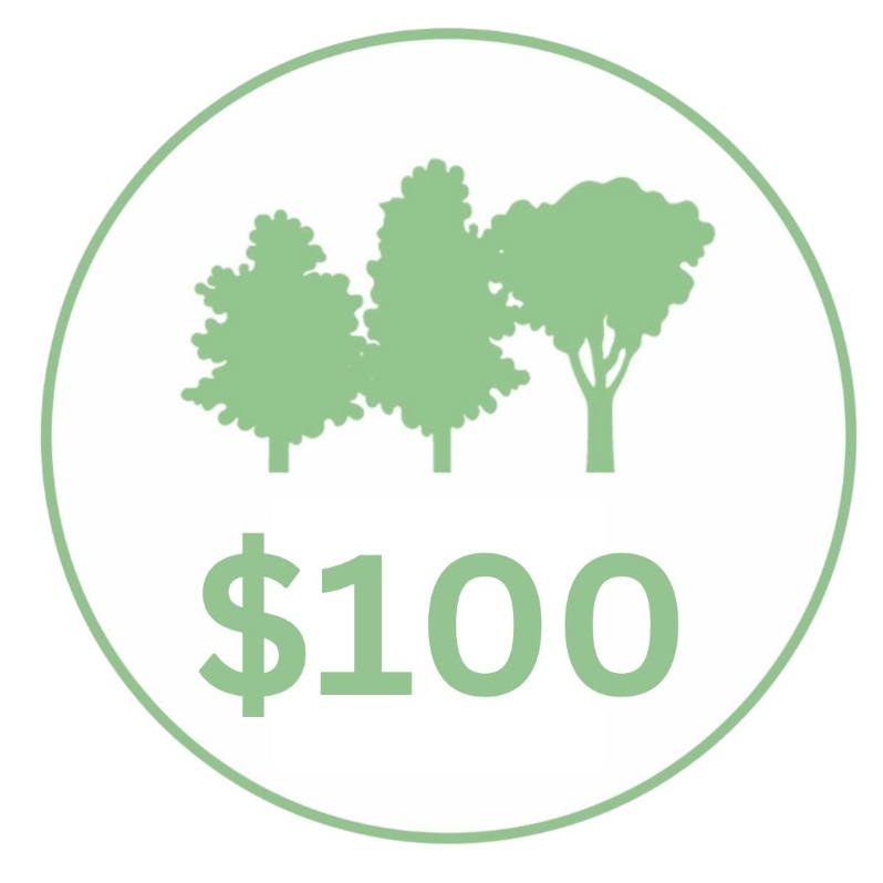 Product Description: $100 Donation